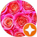 Lucia H. profile picture