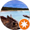 Tegan P. profile picture